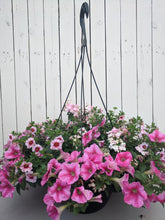 Load image into Gallery viewer, 12&quot; Hanging baskets

