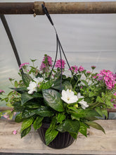 Load image into Gallery viewer, 10&quot; hanging baskets (black pot) - in store only
